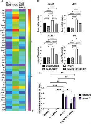 Eicosanoid-Activated PPARα Inhibits NFκB-Dependent Bacterial Clearance During Post-Influenza Superinfection